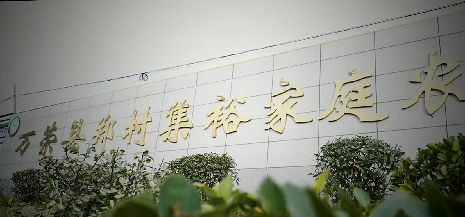 万荣县郑村集裕家庭农场
